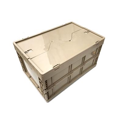 China Sustainable Collapsible Collapsible Collapsible Folding Box PP Plastic Crate Beer Bottles Vegetable and Fruit Crate for sale