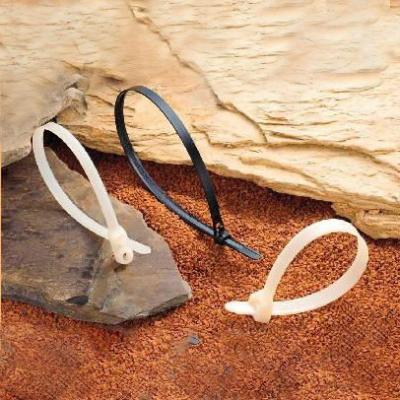 China Nylon Cable Organizer ROHS Numbered Plastic Cable Zip Tie for sale