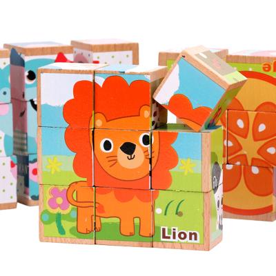 China Six-in-one cartoon toy new design brain teaser children intelligence developing educational toys factory sale colorful wooden wood for sale