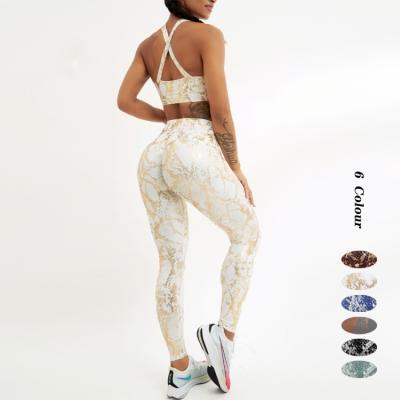 China Antibacterial Women Snakeskin Sublimation Sports 2pcs Bra Gaiters Sets High Waist Sports Clothing Yoga Set for sale