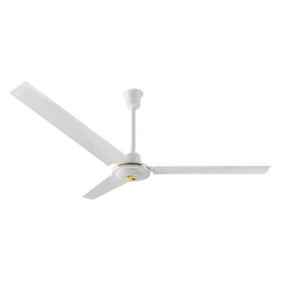 China TNTSTAR TNT-202 16inch Ceiling Fan Adjustable Ceiling Fan Model No Airflow for sale