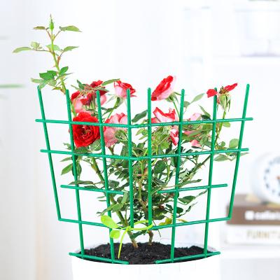 China Advanced Eco-friendly Durable Plastic Frame Plant Support Vine Support Flexible Climbing Adjustable Garden Plant Support for sale