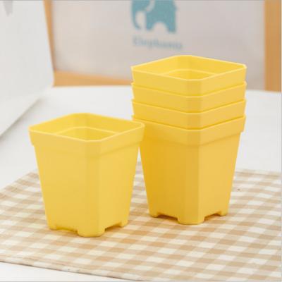 China Durable Material Planting Plants Super Thick Indoor Plastic Planters Mini Color Square Fine Quality Nursery Flower Pots Pot Small Flowerpot for sale