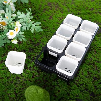 China Plastic Water Storage Tray Black White Shallow Square 8-Hole Bonsai Pots Flower Potted Succulent Durable Grass Material Wholesale for sale