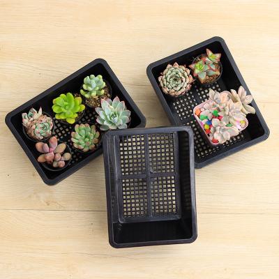 China Succulent Planting 6 Seedling Pots Combination Cheap Durable Material Cheap Storage Box In Nursery Plastic Flower Pots For Garden for sale