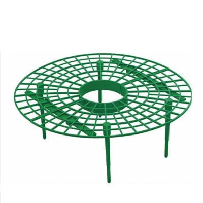 China Eco-friendly Strawberry Frame Cultivation Strawberry Support Frame Plant Stand Green Strawberry Frame for sale