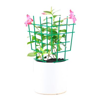 China Plastic Garden Plant Support Stake Plant Supports For Easy Garden Installation Plant Support for sale