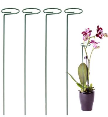 China Durable Unique Large Garden Flowers Stainless Steel Metal Plant Quality Single Stem Support Stake for Indoor or Outdoor Plants for sale