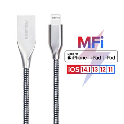 Κίνα Καλώδιο αστραπής 3FT 6FT 10FT MFI όλο το μέταλλο που χρεώνει γρήγορα τη συμβατή Apple προς πώληση