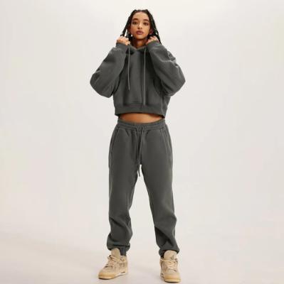 China Breathable 2022 Women's Autumn/Winter Pocket Front Hoodie And Jogging Pants Set Brand Custom Logo Custom Logo Thick Wool Pullover Sweatpants for sale