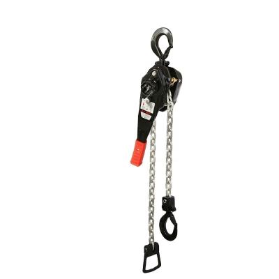 China Longer Lasting Low Price Manual DH 9ton Lever chain Hoist and low price manual lever hoist for sale