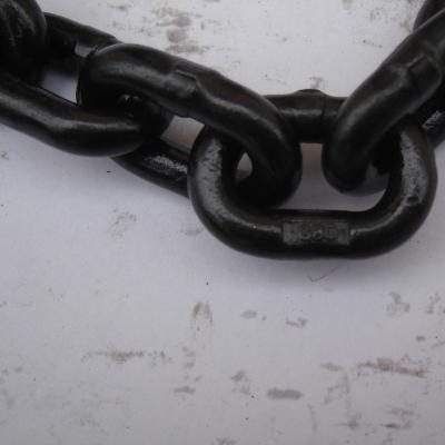 China Standard High Quality G80 Alloy Steel Chain Lifting Chains Black Type Lifting Chains for sale