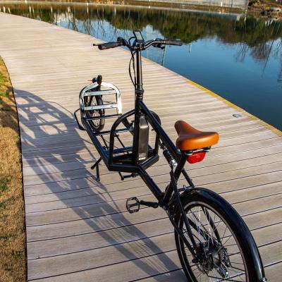 China Standard two wheel electric cargo bike with a large fruit/food box in the front for family use to expedition delivery for sale