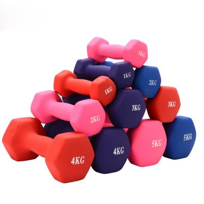 China Home Use Fitness Equipment Matte Dumbbells Rack Stands Home Weightlifting Dumbbells Rack Hand Weights Slimming PVC Dumbbell for sale