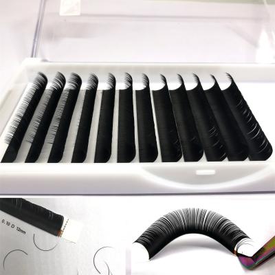 China 0.10 Mm Long D Loop Eyelash Different Trays Natural Single Eyelashes Private Label Classic Eyelash Extensions for sale