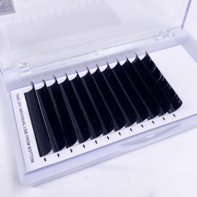 China Vegan And Cruelty Free 0.15mm C Loop Trays Single Classic Lashes Quick Fanning Individual Lashes Mink Eyelash Extension for sale