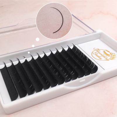 China 0.15mm D Long Curl 8-15mm Natural Blend Ellipse Flat Lash Lashes Easy Volume Eyelash Extensions Fan Lashes for sale