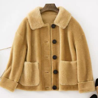 China Breathable oversized coat women's coat autumn and winter woolen fashion winter coat real short oversized sheep shearing coat for sale