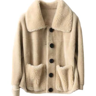 China Autumn and winter women's coat fashion wool sheep shearer dress real woolen short oversized coat breathable grained sheep shearer c for sale