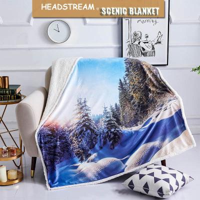 China Anti-Static Animal Pattern digital printed super soft flannel fleece throw for sale