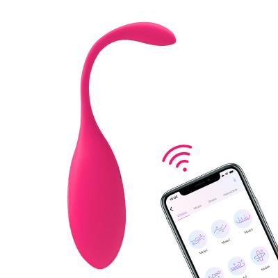 China 2/2 Hour Phone USB Remote Control Female Vibrator Love Drunk 1&2&3 Filling Vibrator 9 Frequency Vibration Adult Sex Toys for sale