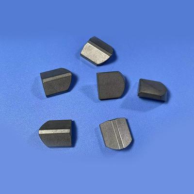 China Artesian Wells Drill Bits Teeth Tungsten Carbide Buttons for Specific Requirements for sale