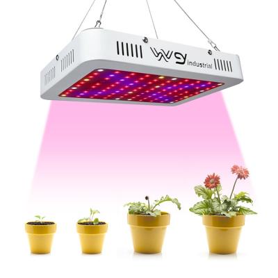 China Seed Starting Wenyi Garden Greenhouse Plant Super Bright Indoor Full Spectrum 600W 1000W 1200W Led To Grow Light for sale