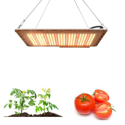 China Seed Starting Hydroponic Garden Greenhouse Plant Super Bright Indoor 600w Full Spectrum Led Grow Light for sale