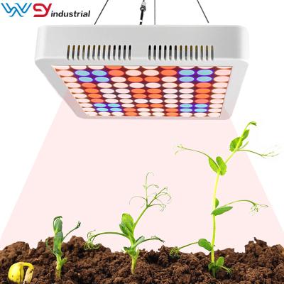 China Seed Starting 300W LED Grow Light For Hydroponic Greenhouse Plants Grow Light for sale