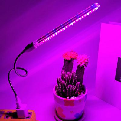 China Seed Planting 21LED To Grow Light USB Red And Blue Hydroponic Plant Growing Light Bar For Plant Desktop Horticulture for sale