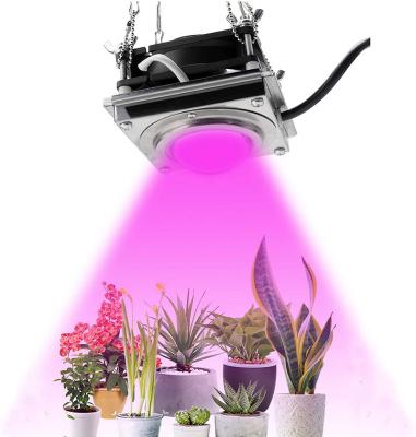 China Seed Starting Full Spectrum COB Grow Light High Luminous Efficiency 300W Growing Lamp For Plants COB Phytolamp For Indoor Grow Box Greenhouses for sale