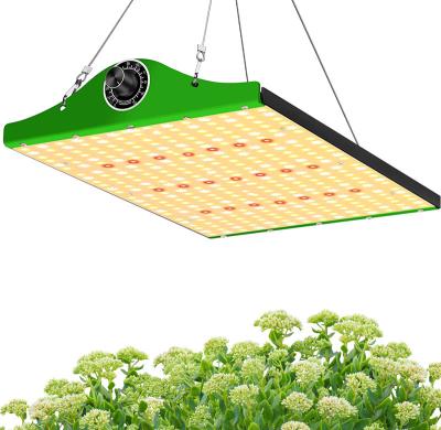 China Seed Seed Growing Indoor Hydroponic Greenhouse Vegetables Full Spectrum Air Cooled Led Plant Grow Light 1000W for sale