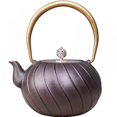 China High Quality Drinkware Tetsubin Teapot Japanese Style Viable Cast Iron Teapot For Home for sale