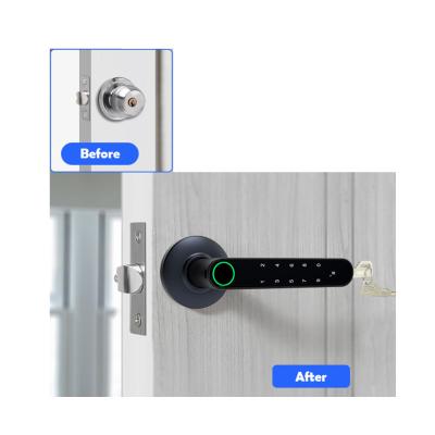 China Zinc Alloy Universal Replace Open Smart Lock Fingerprint Code App Lock for sale