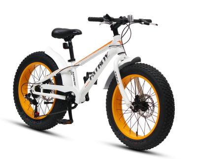 China 20 Inch MTB Kids Street Bike Fat Tire Bike Mountain Bike For Boy for sale