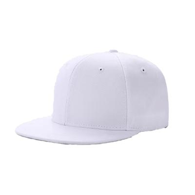 China Hip Hop COMMON Custom Hat Sports Adjustable High Quality Baseball Cap for sale