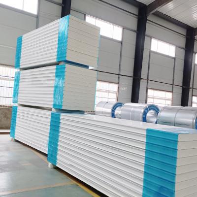 China Modern easy installation insulation board storage/polyurethane cold storage/food and drug for sale