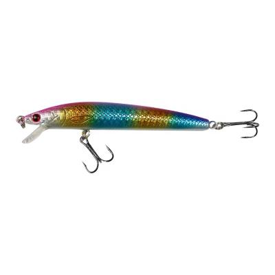 China Outdoor Activities Fishing Minnow CL055 Hard Sinking Soft Plastic Lures Fishing Minnow Bait Lure Musky Bait for sale