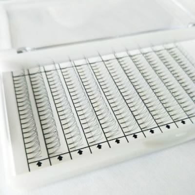 China Long& Lash Extensions Premade Russian Volume 3d Fan 0.07mm D Thick Bulk Wicks for sale