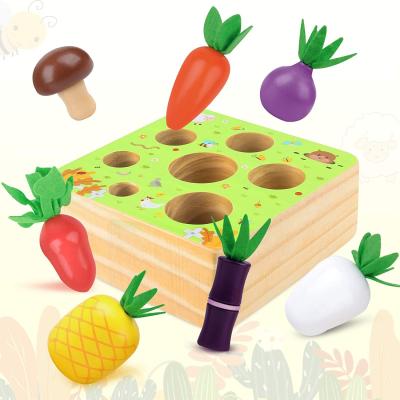 China Wholesale Excellent Quality Europe Style Fashionable Baby Educational Wooden Carrot Train Matching Toy for sale