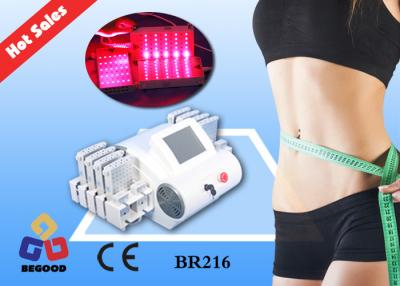 China el laser 12pcs rellena el laser de Lipo que adelgaza la máquina para la reducción/el ajuste gordos de la piel en venta