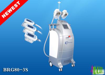 China LCD Screen Cryolipolysis Slimming Machine Triple Handles Cryo Lipolisis for sale