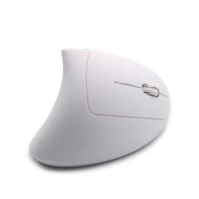 China 3D Amazon Top Selling 2.4Ghz Laptop Optical Wireless 6D Mouse Ergonomic Mouse for sale