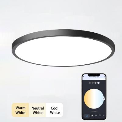 China Customized Modern Minimalist China RGB Smart Ultrathin Outdoor Mounted Remote Control Round Led Ceiling Light for sale