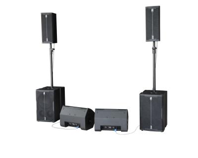 China DareAudio C1 ProMax Professional PA Speaker System 6.5inch Poratable for Road show Home Party Club for sale