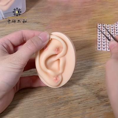 China 100 Pcs Ear Acupoint Therapy Vaccaria Seeds Chinese Medicine Herbal Apparatuses for sale