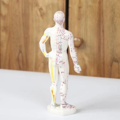 China Realistic Acupuncture Meridian Body Model With Carrying Case for sale