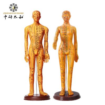 China Acupuncture Model With Flexible Joints For Learning Body Structure for sale