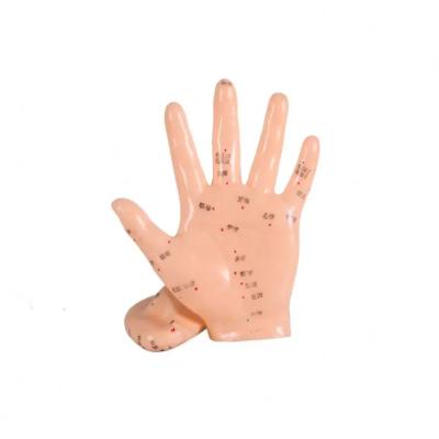 China Acupuncture Body Model Flexible Joints for Realistic Positioning and Easy to Clean Surface in Training for sale