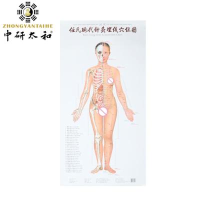 China Individualized Acupuncture Culture Harnessing Body's Natural Healing Abilities With Acupuncture for sale